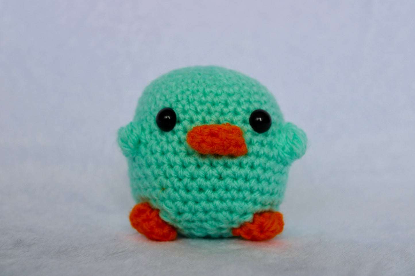 PRE-ORDER: Chubby Platypus
