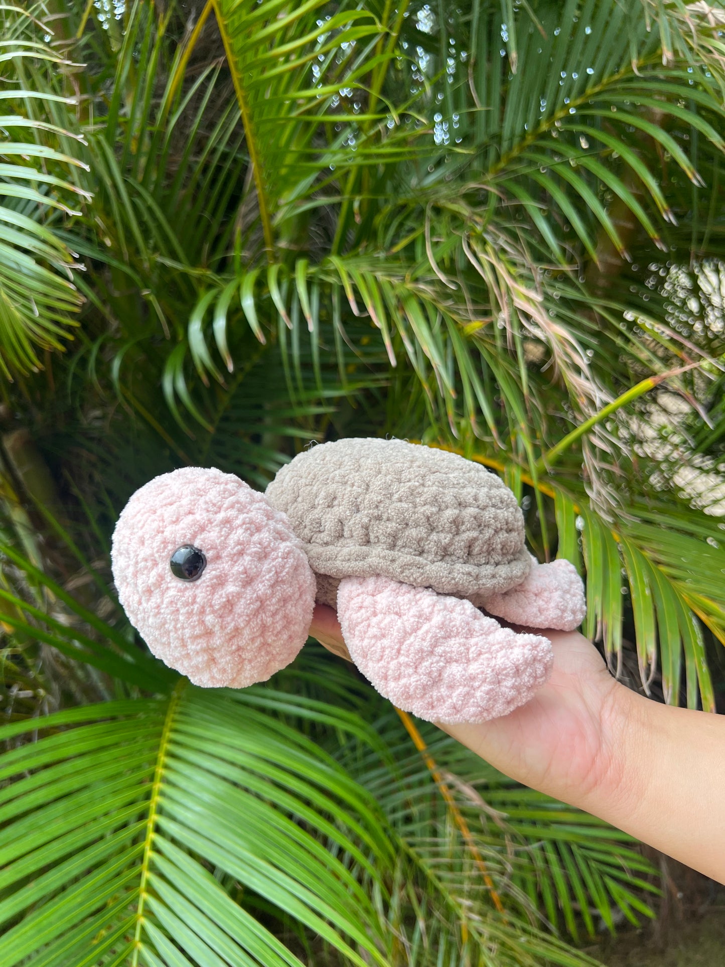 Large Turtle (Honu)